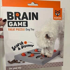Brain Game Treat Puzzle Dog Toy - Gray and Orange
